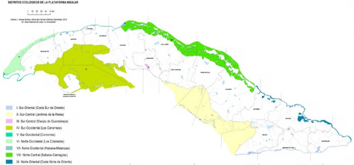 Distritos ecológicos en los cuales se encuentra dividida la plataforma marina cubana. Fuente: (Atlas Nacional de Cuba, 2020)